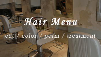 cut color perm treatment Hair Menu